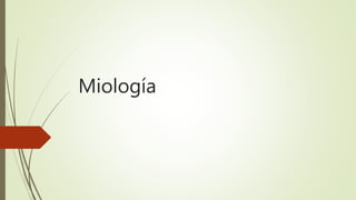 Miología
 