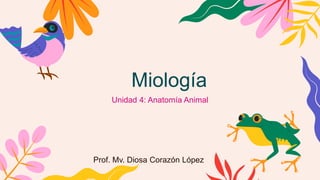Miología
Unidad 4: Anatomía Animal
Prof. Mv. Diosa Corazón López
 