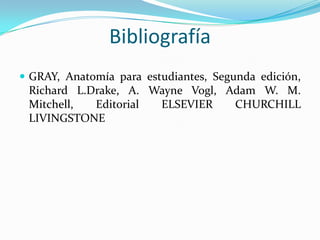 Bibliografía
 GRAY, Anatomía para estudiantes, Segunda edición,

Richard L.Drake, A. Wayne Vogl, Adam W. M.
Mitchell,
Editorial
ELSEVIER
CHURCHILL
LIVINGSTONE

 