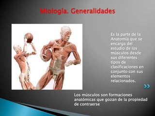 Miología. Generalidades


                           Es la parte de la
                           Anatomía que se
                           encarga del
                           estudio de los
                           músculos desde
                           sus diferentes
                           tipos de
                           clasificaciones en
                           conjunto con sus
                           elementos
                           relacionados.


          Los músculos son formaciones
          anatómicas que gozan de la propiedad
          de contraerse
 