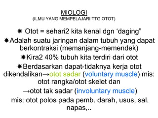 MIOLOGI
(ILMU YANG MEMPELAJARI TTG OTOT)
 Otot = sehari2 kita kenal dgn ‘daging”
Adalah suatu jaringan dalam tubuh yang dapat
berkontraksi (memanjang-memendek)
Kira2 40% tubuh kita terdiri dari otot
Berdasarkan dapat-tidaknya kerja otot
dikendalikan→otot sadar (voluntary muscle) mis:
otot rangka/otot skelet dan
→otot tak sadar (involuntary muscle)
mis: otot polos pada pemb. darah, usus, sal.
napas,..
 