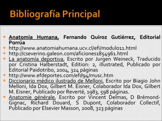 Anatomia Humana , Fernando Quiroz Gutiérrez, Editorial Porrúa http://www.anatomiahumana.ucv.cl/efi/modulo11.html http://cseverino.galeon.com/aficiones1854961.html La anatomía deportiva , Escrito por Jurgen Weineck, Traducido por Cristina Halberstadt, Edition: 2, illustrated, Publicado por Editorial Paidotribo, 2004, 324 páginas http://www.efdeportes.com/efd94/musc.htm Diccionario médico ilustrado de Melloni , Escrito por Biagio John Melloni, Ida Dox, Gilbert M. Eisner, Colaborador Ida Dox, Gilbert M. Eisner, Publicado por Reverté, 1983, 598 páginas. Anatomie générale , Escrito por Vincent Delmas, D Brémond-Gignac, Richard Douard, S Dupont, Colaborador Collectif, Publicado por Elsevier Masson, 2008, 323 páginas 