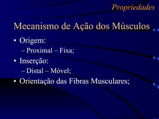 Origem: Proximal – Fixa; Inserção: Distal – Móvel; Orientação das Fibras Musculares; Mecanismo de Ação dos Músculos Propriedades 