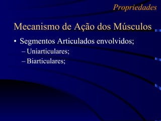 Segmentos Articulados envolvidos; Uniarticulares; Biarticulares; Mecanismo de Ação dos Músculos Propriedades 
