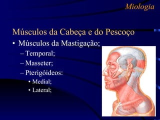 Miologia Músculos da Cabeça e do Pescoço Músculos da Mastigação; Temporal; Masseter; Pterigóideos: Medial; Lateral; 