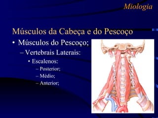 Miologia Músculos da Cabeça e do Pescoço Músculos do Pescoço; Vertebrais Laterais: Escalenos: Posterior; Médio; Anterior; 
