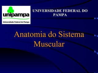 Anatomia do Sistema Muscular UNIVERSIDADE FEDERAL DO PAMPA 