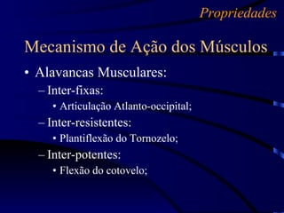 Alavancas Musculares: Inter-fixas: Articulação Atlanto-occipital; Inter-resistentes: Plantiflexão do Tornozelo; Inter-potentes: Flexão do cotovelo; Mecanismo de Ação dos Músculos Propriedades 