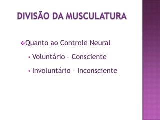 Movem os segmentos por contração. 