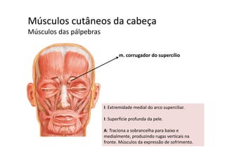 Músculos cutâneos da cabeça  ç
Músculos das pálpebras
m. corrugador do supercílio
I: Extremidade medial do arco superciliar. 
I: Superfície profunda da pele.
A: Traciona a sobrancelha para baixo e 
medialmente, produzindo rugas verticais na 
fronte. Músculos da expressão de sofrimento.
 