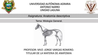 UNIVERSIDAD AUTÓNOMA AGRARIA
ANTONIO NARRO
UNIDAD LAGUNA
Tema: Miología General.
Asignatura: Anatomía descriptiva
PROFESOR: MVZ: JORGE VARGAS ROMERO.
TITULAR DE LA MATERIA DE ANATOMIA
 