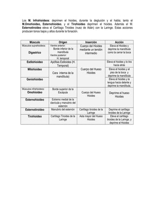 Los M. Infrahioideos: deprimen el hioides, durante la deglución y el habla; tanto el
M.Omohioideo, Esternohioideo, y el Tirohioideo deprimen el hioides. Además el M.
Esternotiroideo eleva el Cartílago Tiroides (nuez de Adán) con la Laringe. Estas acciones
producen tonos bajos y altos durante la fonación.
Músculo Origen Inserción Acción
Músculos suprahioideos:
Digastrico
Vientre anterior:
Borde inferior de la
mandíbula
Vientre posterior:
H. temporal
Cuerpo del Hioides
mediante un tendón
intermedio
Eleva el Hioides y
deprime la mandíbula
como la cerrar la boca
Estilohioideo Apófisis Estiloides (H.
Temporal)
Cuerpo del Hueso
Hioides
Eleva el hioides y lo tira
hacia atrás
Milohioideo
Cara interna de la
mandíbula)
Eleva el hioides y el
piso de la boca y
deprime la mandíbula
Geniohioideo Eleva el hioides y la
lengua hacia delante y
deprime la mandíbula.
Músculos infrahioideos:
Omohioideo
Borde superior de la
Escápula Cuerpo del Hueso
Hioides
Deprime el hueso
Hioides
Esternohioideo Extremo medial de la
clavícula y manubrio del
esternón
Esternotiroideo Manubrio del esternón Cartílago tiroides de la
Laringe
Deprime el cartílago
tiroides de la Laringe
Tirohioideo Cartílago Tiroides de la
Laringe
Asta mayor del Hueso
Hioides
Eleva el cartílago
tiroides de la Laringe, y
deprime el Hioides
 