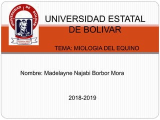 TEMA: MIOLOGIA DEL EQUINO
Nombre: Madelayne Najabi Borbor Mora
2018-2019
UNIVERSIDAD ESTATAL
DE BOLIVAR
 
