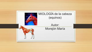 MIOLOGÍA de la cabeza
(equinos)
Autor:
Morejón María
 