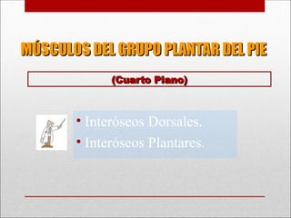 MÚSCULOS DEL GRUPO PLANTAR DEL PIE
MÚSCULOS DEL GRUPO PLANTAR DEL PIE
• Interóseos Dorsales.
• Interóseos Plantares.
(Cuarto Plano)
(Cuarto Plano)
 
