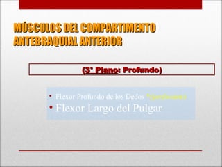 MÚSCULOS DEL COMPARTIMENTO
MÚSCULOS DEL COMPARTIMENTO
ANTEBRAQUIAL ANTERIOR
ANTEBRAQUIAL ANTERIOR
• Flexor Profundo de los Dedos *(perforante)
• Flexor Largo del Pulgar
(
(3° Plano
3° Plano: Profundo)
: Profundo)
 