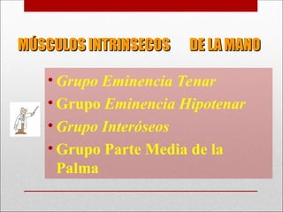 MÚSCULOS INTRINSECOS DE LA MANO
MÚSCULOS INTRINSECOS DE LA MANO
• Grupo Eminencia Tenar
• Grupo Eminencia Hipotenar
• Grupo Interóseos
• Grupo Parte Media de la
Palma
 