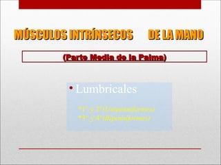 MÚSCULOS INTRÍNSECOS DE LA MANO
MÚSCULOS INTRÍNSECOS DE LA MANO
• Lumbricales
*1° y 2°(Unipenniformes)
*3° y 4°(Bipenniformes)
(
(Parte Media de la Palma
Parte Media de la Palma)
)
 