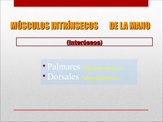 MÚSCULOS INTRÍNSECOS DE LA MANO
MÚSCULOS INTRÍNSECOS DE LA MANO
• Palmares *(Unipenniformes)
• Dorsales *(Bipenniformes)
(
(Interóseos
Interóseos)
)
 