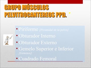 GRUPO MÚSCULOS
GRUPO MÚSCULOS
PELVITROCANTEREOS PPD.
PELVITROCANTEREOS PPD. *
• Piriforme [Piramidal de la pelvis]
• Obturador Interno
• Obturador Externo
• Gemelo Superior e Inferior
[Geminos]
• Cuadrado Femoral
 