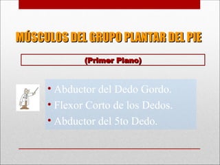 MÚSCULOS DEL GRUPO PLANTAR DEL PIE
MÚSCULOS DEL GRUPO PLANTAR DEL PIE
• Abductor del Dedo Gordo.
• Flexor Corto de los Dedos.
• Abductor del 5to Dedo.
(Primer Plano)
(Primer Plano)
 