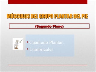 MÚSCULOS DEL GRUPO PLANTAR DEL PIE
MÚSCULOS DEL GRUPO PLANTAR DEL PIE
• Cuadrado Plantar.
• Lumbricales
(Segundo Plano)
(Segundo Plano)
 