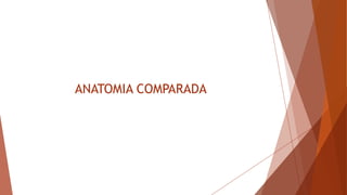 ANATOMIA COMPARADA
 