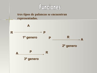 A A A R R R P P P 1º genero 2º genero 3º genero Funciones tres tipos de palancas se encuentran representadas.   