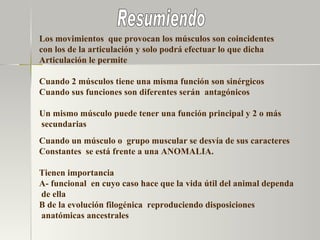 Los movimientos  que provocan los músculos son coincidentes con los de la articulación y solo podrá efectuar lo que dicha Articulación le permite  Cuando 2 músculos tiene una misma función son sinérgicos  Cuando sus funciones son diferentes serán  antagónicos Un mismo músculo puede tener una función principal y 2 o más secundarias  Cuando un músculo o  grupo muscular se desvía de sus caracteres Constantes  se está frente a una ANOMALIA. Tienen importancia A- funcional  en cuyo caso hace que la vida útil del animal dependa de ella  B de la evolución filogénica  reproduciendo disposiciones anatómicas ancestrales Resumiendo  
