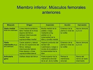 Miembro inferior. Músculos femorales
                                  anteriores

     Músculo                      Origen                   Inserción                Acción           Inervación
Vasto medial             Línea intertrocantérica,    Borde medial de la         Extensor de la      Nervio femoral
(Parte del cuádriceps)   labio medial de la línea    patela y luego             pierna a nivel de   (L2-L4)
                         áspera del fémur,           mediante el lig.           la rodilla
                         tabique intermuscular       patelar en la
                         medial, línea               tuberosidad de la
                         supracondilea medial        tibia y cóndilo medial
Vasto                    Caras anterior y lateral    Aspecto profundo del       Extensor de la      Nervio femoral
intermedio (Parte        de los 2/3 superiores del   tendon del                 pierna a nivel de   (L2-L4)
del cuádriceps)          fémur, tabique              cuádriceps y luego a       la rodilla
                         intermuscular lateral,      través de la patela a
                         línea áspera y línea        la tuberosidad de la
                         supracondílea lateral       tibia
Articularis              Diáfisis distal del fémur   Parte superior de la       Retrae la           Rama del
genu                                                 membrana sinovial          membrana            nervio al vasto
                                                     de la art. de la rodilla   sinovial            intermedio
 