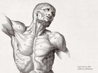 Hugo Pedrosa, 2009hpedrosa_31@sapo.pt