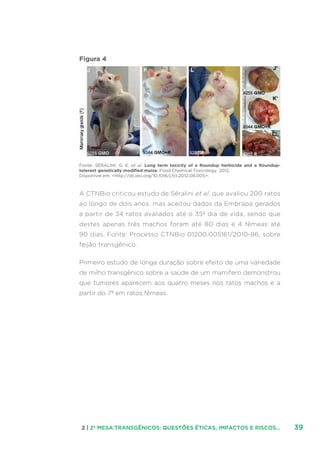 392 | 2ª MESA:TRANSGÊNICOS: QUESTÕES ÉTICAS, IMPACTOS E RISCOS...
Figura 4
Fonte: SÉRALINI, G. E. et al. Long term toxicity of a Roundup herbicide and a Roundup-
tolerant genetically modified maize. Food Chemical Toxicology. 2012.
Disponível em: http://dx.doi.org/10.1016/j.fct.2012.08.005.
A CTNBio criticou estudo de Séralini et al. que avaliou 200 ratos
ao longo de dois anos, mas aceitou dados da Embrapa gerados
a partir de 34 ratos avaliados até o 35º dia de vida, sendo que
destes apenas três machos foram até 80 dias e 4 fêmeas até
90 dias. Fonte: Processo CTNBio 01200.005161/2010-86, sobre
feijão transgênico.
Primeiro estudo de longa duração sobre efeito de uma variedade
de milho transgênico sobre a saúde de um mamífero demonstrou
que tumores aparecem aos quatro meses nos ratos machos e a
partir do 7º em ratos fêmeas.
 