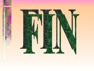 FIN 
