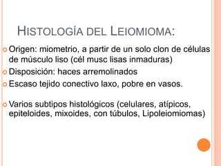 HISTOLOGÍA DEL LEIOMIOMA:
 Origen: miometrio, a partir de un solo clon de células
de músculo liso (cél musc lisas inmaduras)
 Disposición: haces arremolinados
 Escaso tejido conectivo laxo, pobre en vasos.
 Varios subtipos histológicos (celulares, atípicos,
epiteloides, mixoides, con túbulos, Lipoleiomiomas)
 
