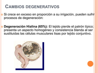 CAMBIOS DEGENERATIVOS
 Si crece en exceso en proporción a su irrigación, pueden sufrir
procesos de degeneración:
 Degeneración Hialina (65%): El tejido pierde el patrón típico;
presenta un aspecto homogéneo y consistencia blanda al ser
sustituidas las células musculares lisas por tejido conjuntivo.
 