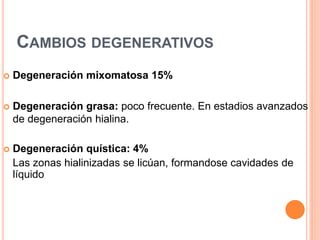 CAMBIOS DEGENERATIVOS
 Degeneración mixomatosa 15%
 Degeneración grasa: poco frecuente. En estadios avanzados
de degeneración hialina.
 Degeneración quística: 4%
Las zonas hialinizadas se licúan, formandose cavidades de
líquido
 