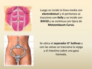 Luego se incide la línea media con electrobisturí y el peritoneo se tracciona con Kelly y se incide con B3H10 y se continua con tijera de Metzembaum Curva.Se ubica el separador O' Sullivan y con las valvas se tracciona la vejiga y el intestino sobre una gasa húmeda.