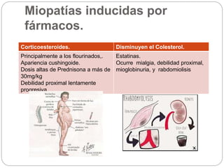 Miopatías inducidas por
fármacos.
Corticoesteroides. Disminuyen el Colesterol.
Principalmente a los flourinados,.
Apariencia cushingoide.
Dosis altas de Prednisona a más de
30mg/kg
Debilidad proximal lentamente
progresiva.
Estatinas.
Ocurre mialgia, debilidad proximal,
mioglobinuria, y rabdomiolisis
 