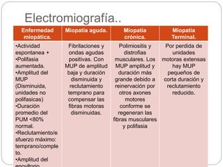 Electromiografía..
Enfermedad
miopática.
Miopatía aguda. Miopatía
crónica.
Miopatía
Terminal.
•Actividad
espontanea +
•Polifasia
aumentada.
•Amplitud del
MUP
(Disminuida,
unidades no
polifasicas)
•Duración
promedio del
PUM <80%
normal.
•Reclutamiento/e
sfuerzo máximo:
temprano/comple
to.
•Amplitud del
Fibrilaciones y
ondas agudas
positivas. Con
MUP de amplitud
baja y duración
disminuida y
reclutamiento
temprano para
compensar las
fibras motoras
disminuidas.
Polimiositis y
distrofias
musculares. Los
MUP amplitud y
duración más
grande debido a
reinervación por
otros axones
motores
conforme se
regeneran las
fibras musculares
y polifasia
Por perdida de
unidades
motoras extensas
hay MUP
pequeños de
corta duración y
reclutamiento
reducido.
 