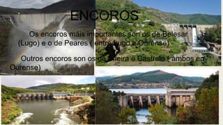 ENCOROS
Os encoros máis importantes son os de Belesar
(Lugo) e o de Peares ( entre Lugo e Ourense)
Outros encoros son os de Frieira e Castrelo ( ambos en
Ourense)

 
