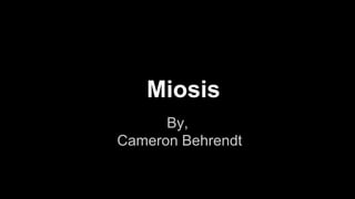Miosis
By,
Cameron Behrendt
 