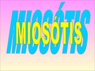 MIOSÓTIS MIOSÓTIS 
