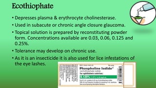 Ecothiophate
• Depresses plasma & erythrocyte cholinesterase.
• Used in subacute or chronic angle closure glaucoma.
• Topical solution is prepared by reconstituting powder
form. Concentrations available are 0.03, 0.06, 0.125 and
0.25%.
• Tolerance may develop on chronic use.
• As it is an insecticide it is also used for lice infestations of
the eye lashes.
 