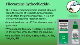 Pilocarpine hydrochloride:
• It is a parasympathomimetic alkaloid obtained
from the leaves of tropical South American
shrubs from the genus Pilocarpus. It is a non-
selective muscarinic receptor agonist.
• It was introduced in 1877 for the treatment of
glaucoma.
• When applied topically it is largely degraded
in the cornea. Only 3% enters the aqueous.
• It is available in 0.12%, 0.25%, 0.5%, 1%, 2%,
3% ,4%, 6%.
 