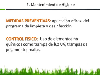 2. Mantenimiento e Higiene


MEDIDAS PREVENTIVAS: aplicación eficaz del
programa de limpieza y desinfección.

CONTROL FISICO: Uso de elementos no
químicos como trampa de luz UV, trampas de
pegamento, mallas.
 