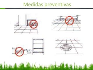 Medidas preventivas
 
