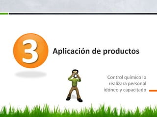 3   Aplicación de productos

                   Control químico lo
                    realizara personal
                 idóneo y capacitado
 