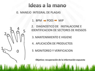 0. MANEJO INTEGRAL DE PLAGAS

                     1. BPM        POES       MIP
                     2. DIAGNOSTICO DE INSTALACIONE E
        3   4        IDENTIFICACION DE SECTORES DE RIESGOS
                5
    2
                     3. MANTENIMIENTO E HIGIENE
                     4. APLICACIÓN DE PRODUCTOS
1                    5 MONITOREO Y VERIFICACION
            0
                        Objetivo: recuperación de la información expuesta
 