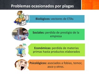Problemas ocasionados por plagas

             Biológicos: vectores de ETAs



           Sociales: perdida de prestigio de la
                        empresa


            Económicas: perdida de materias
           primas hasta productos elaborados


         Psicológicos: asociados a fobias, temor,
                       asco y otros.
 