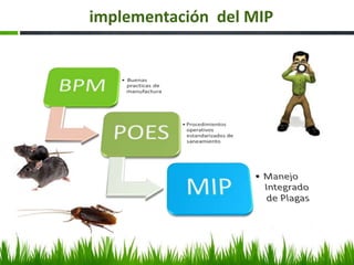 implementación del MIP
 